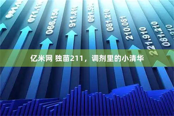亿米网 独苗211，调剂里的小清华